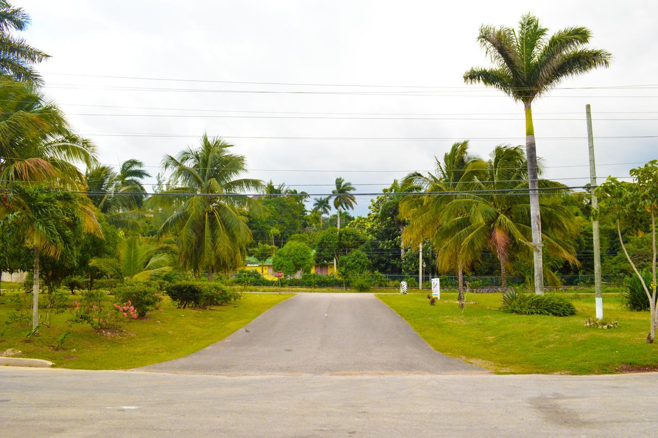 Sahara Dela Mer Inn Montego Bay Dış mekan fotoğraf